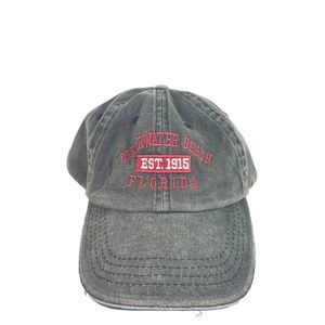 CLEAR WATER BEACH FLORIDA gray adjustable hat cap
